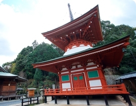 朱塗りの外観を持つ慈尊院 多宝塔の写真