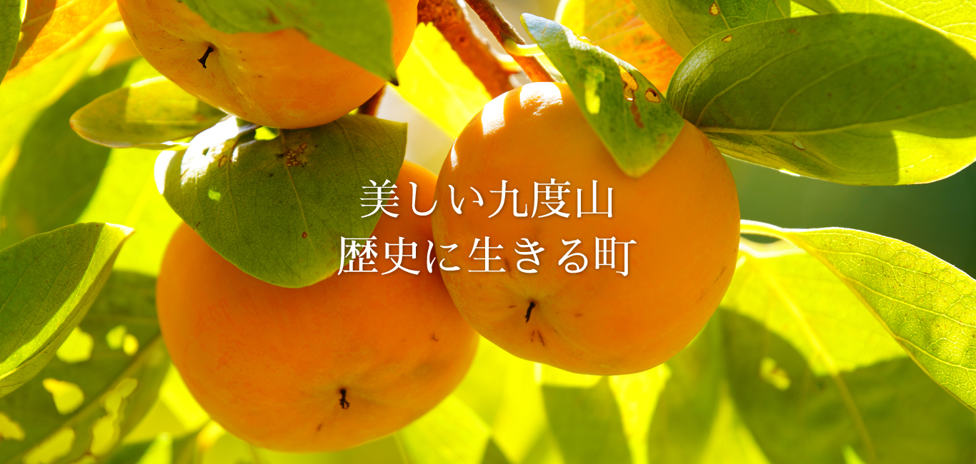 九度山町公式ホームページ　柿の写真