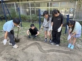 実験の様子2