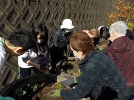 花植の様子１