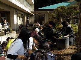 花植の様子２