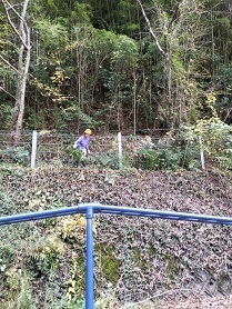 フェンスの雑草の清掃