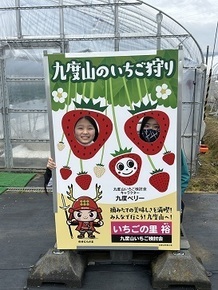 いちご看板１
