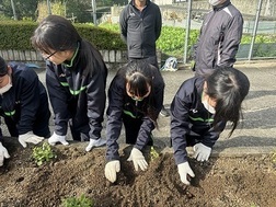 花植の様子