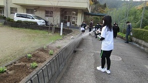 水やりの様子