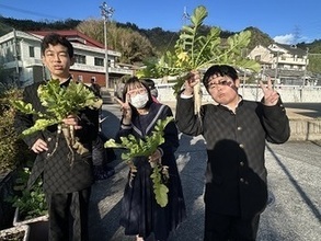 大根の収穫２