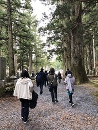 杉並木の道を歩く。
