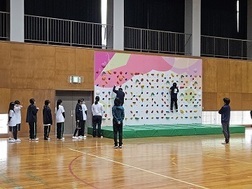 合同体育