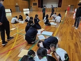 合同体育