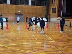 合同体育