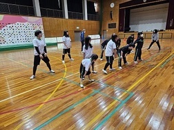 合同体育