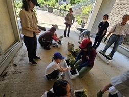 花植え