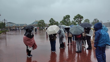 雨