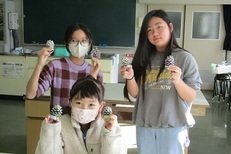 クリスマスツリー