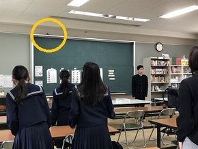 ツバメも参加