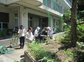 花植