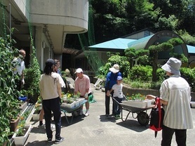 花植
