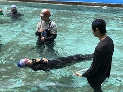 着衣泳