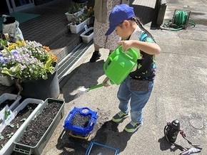 あさがお