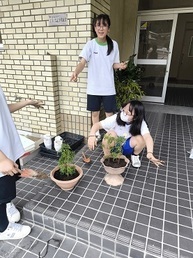 花植