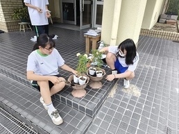 花植