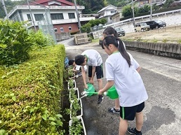 花植