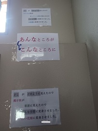 小５図工