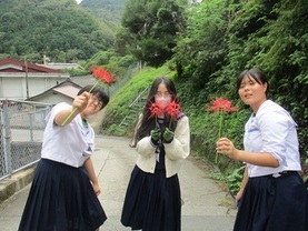 彼岸花