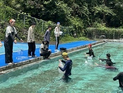 着衣泳