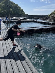 くじらの博物館