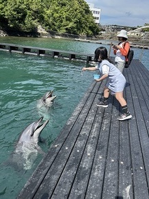 くじらの博物館