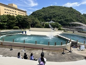 くじらの博物館
