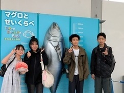 マグロと背比べ