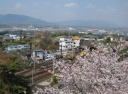 春1