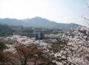 春2