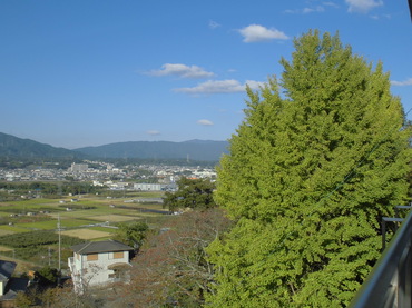 103007