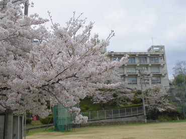 040803