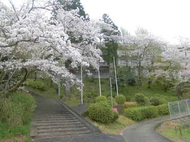 040804