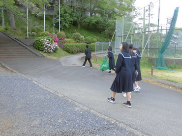 042602