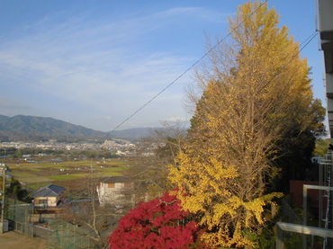 120308