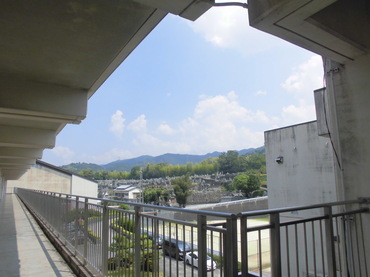 082606