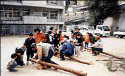 林業体験