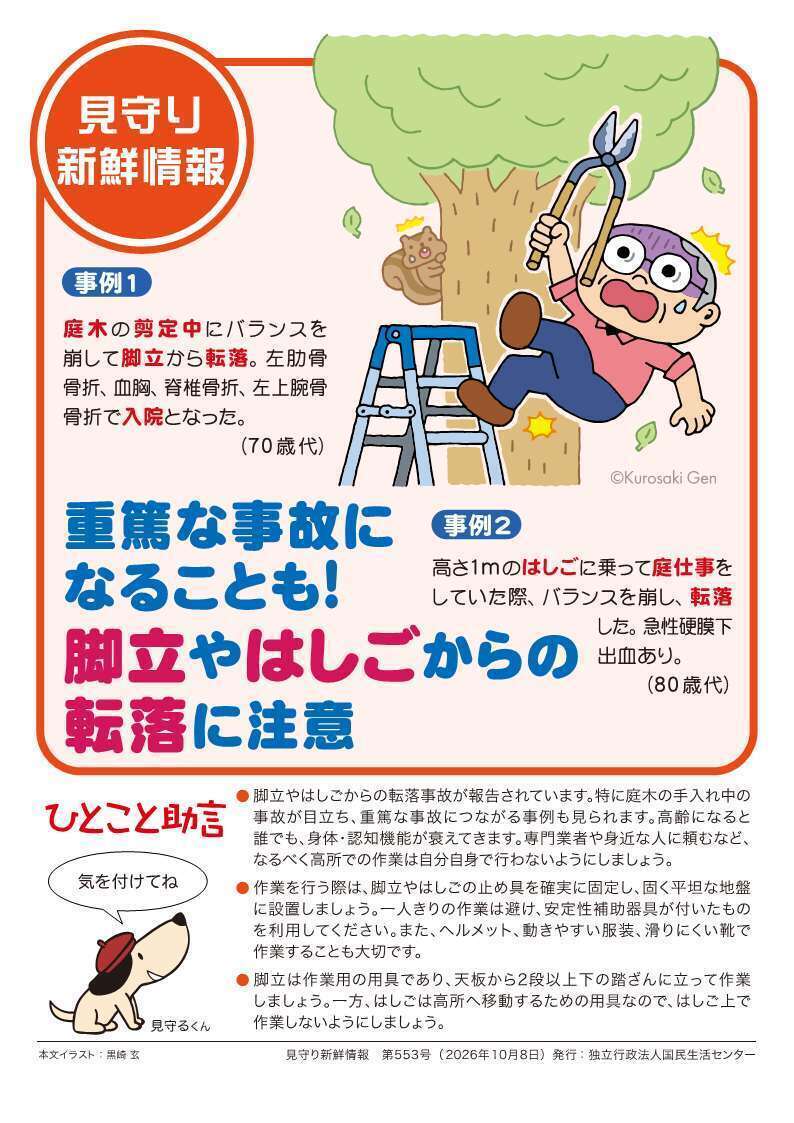 見守り新鮮情報の第553号のチラシ
